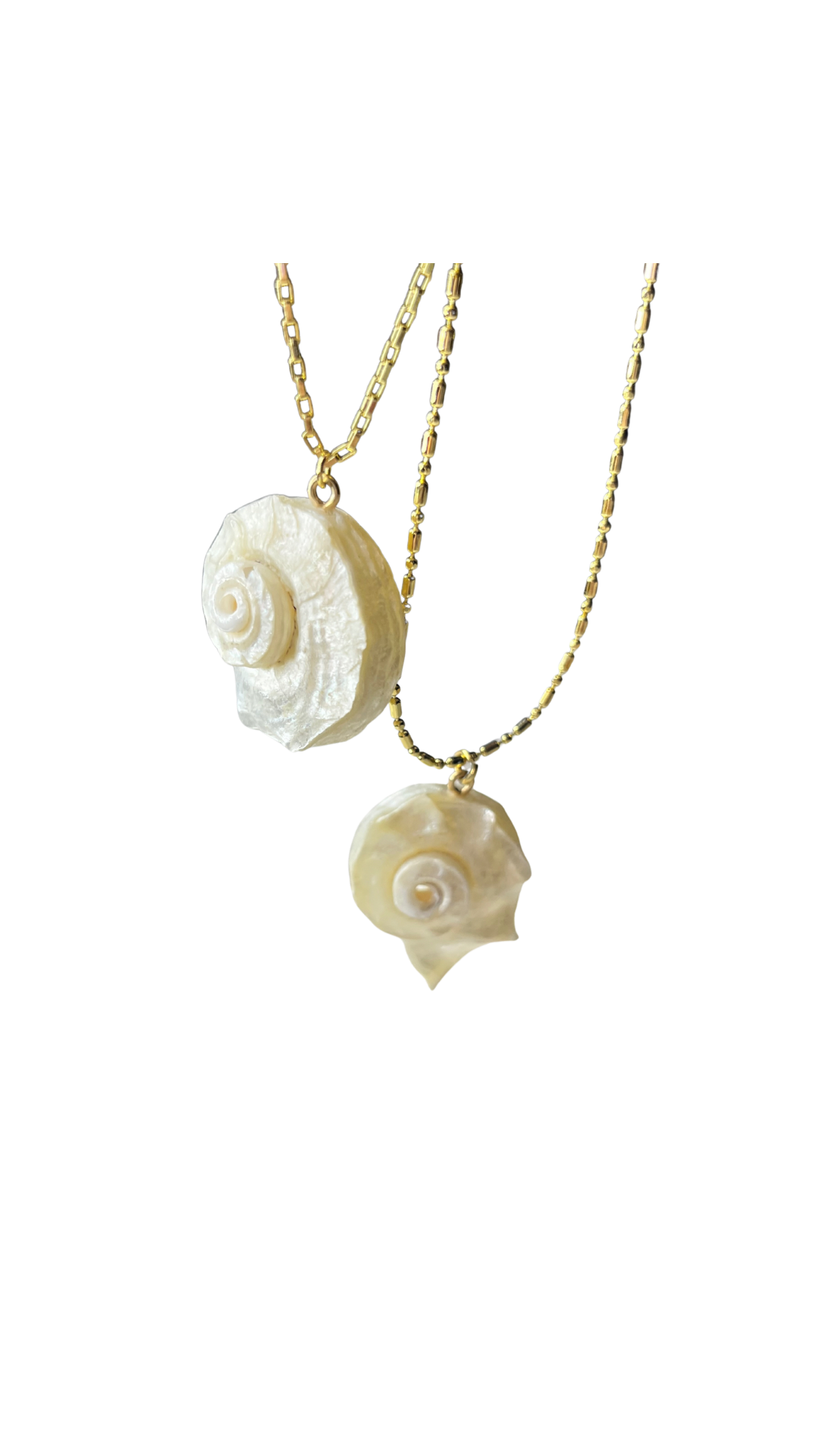 Shell Amour Chain