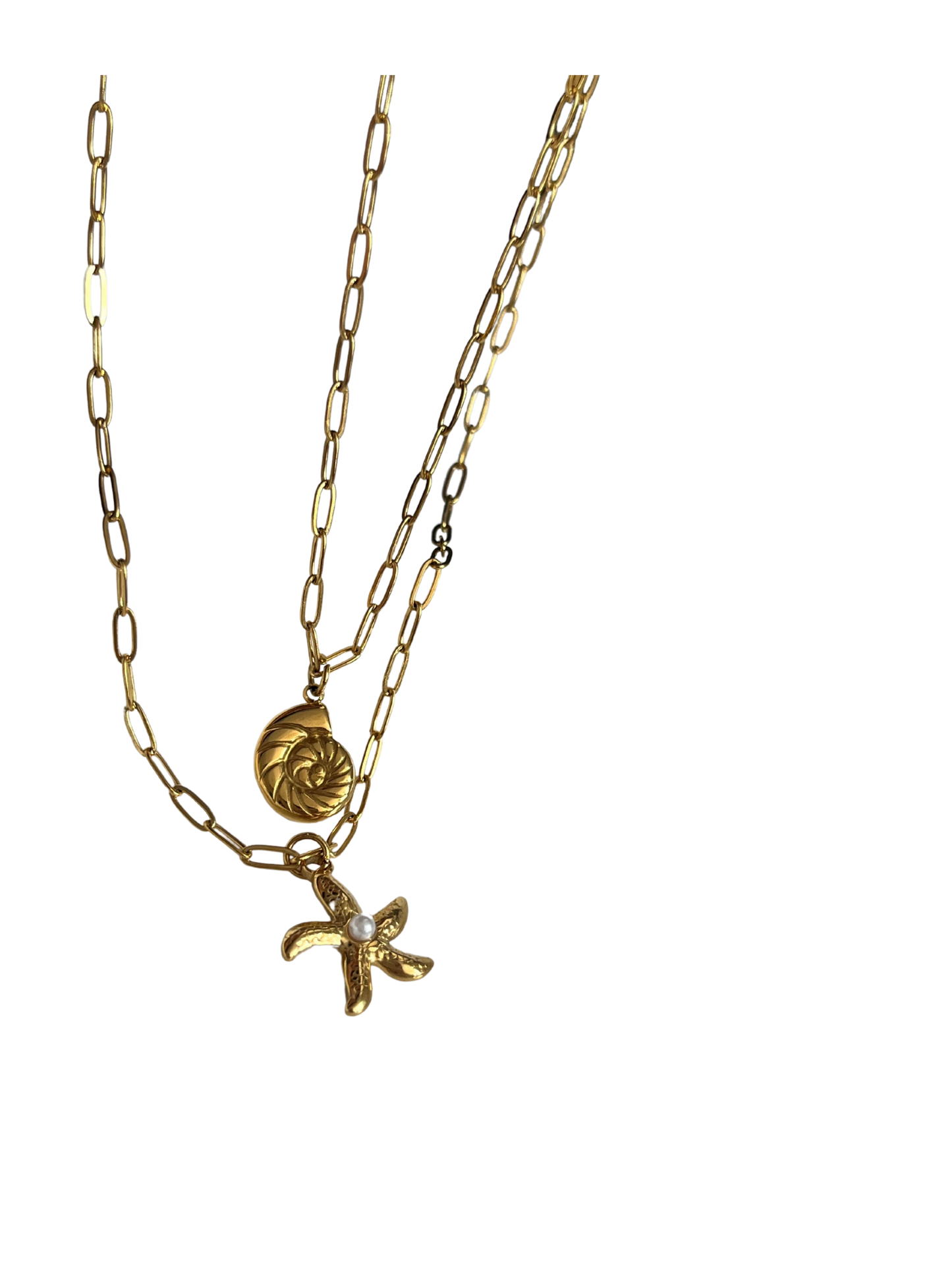 Caracolita & Estrellita