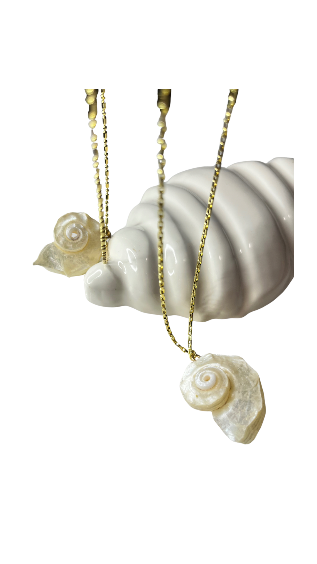 Shell Amour Chain