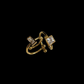 geometry of love rings
