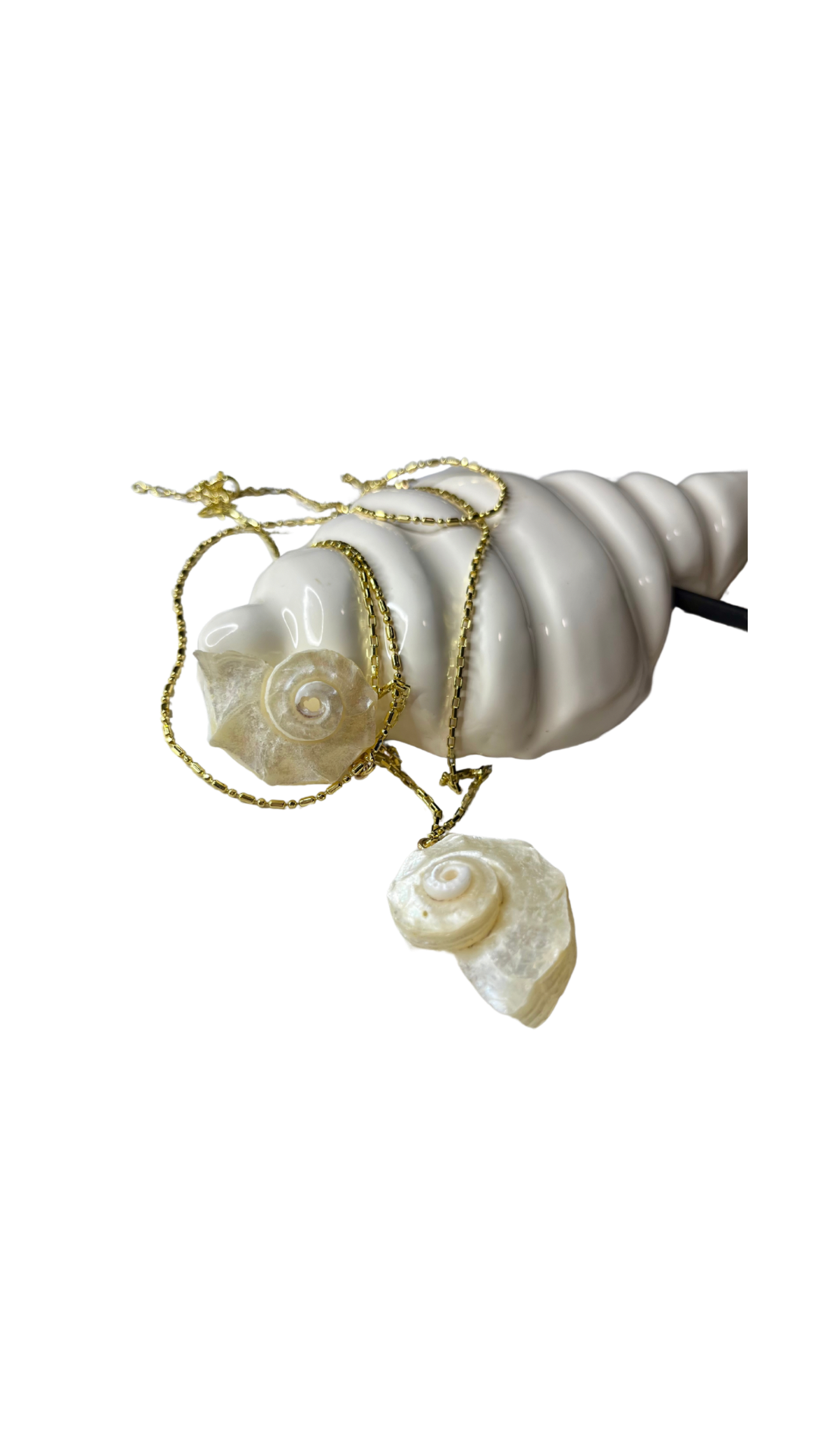 Shell Amour Chain