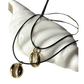 Chokers night snail