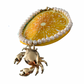 Crab Couture Necklace